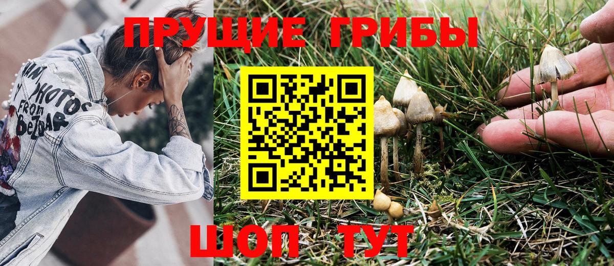 Галлюциногенные грибы Magic Shrooms Ивантеевка