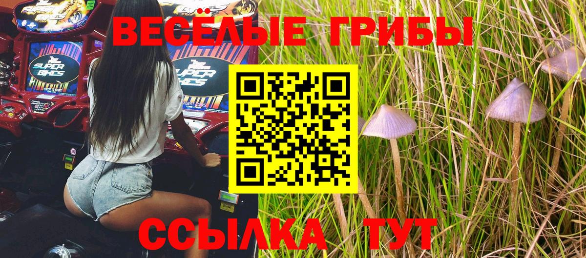 Ивантеевка  Псилоцибиновые грибы ЛСД  даркнет сайт  Вход с VPN 